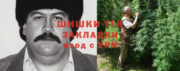 бошки Лагань
