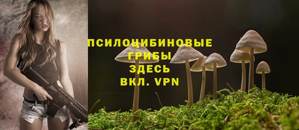 прущая мука Лабытнанги