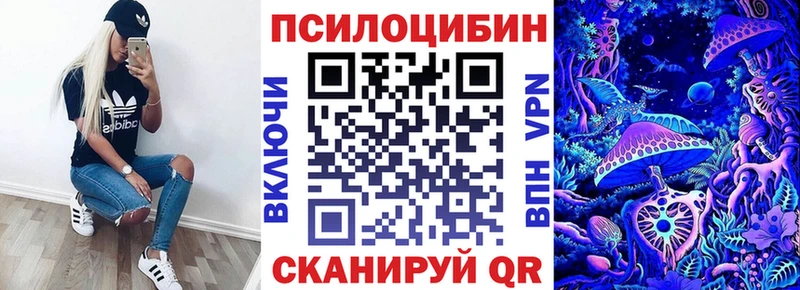 магазин продажи   Ачхой-Мартан  Псилоцибиновые грибы Psilocybe 